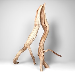 19.5&quot; Manzanita Driftwood Branch: Reptile Habitat, Aquascaping, Fish Tank Decor