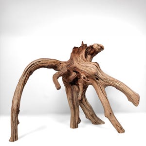 May include: A large, natural driftwood sculpture with a complex, organic form. The wood is a warm brown color with intricate grain patterns and multiple branches extending outwards. The sculpture is freestanding and appears to be a decorative art piece.