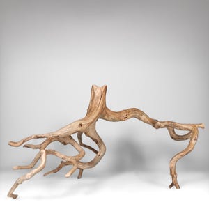 23.5&quot; Long Manzanita Driftwood for Aquascaping, Aquarium Driftwood, Bonsai, Reptiles Climbs, Terrariums, Home Decor