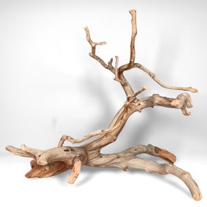 Manzanita Driftwood Branch: Reptile Habitat, Aquascaping, Fish Tank Decor