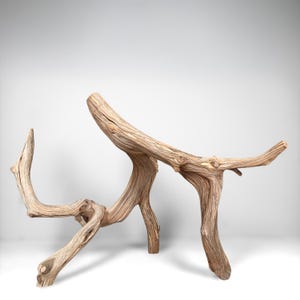 19&quot; Manzanita Driftwood Branch: Reptile Habitat, Aquascaping, Fish Tank Decor