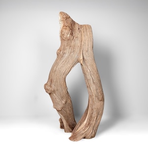 21.5&quot; Manzanita Driftwood Branch: Reptile Habitat, Aquascaping