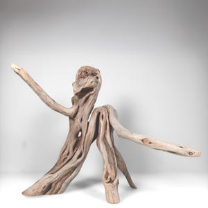 Manzanita Driftwood Branch: Reptile Habitat, Aquascaping, Fish Tank Decor