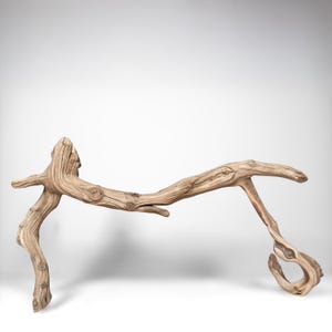 21&quot; Manzanita Driftwood Branch: Reptile Habitat, Aquarium Decor