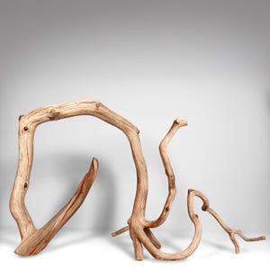 27&quot; Manzanita Driftwood Branch: Reptile Habitat, Aquascaping, Fish Tank Decor