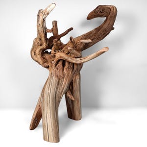 May include: A large piece of light brown driftwood with a complex, organic structure featuring multiple gnarled branches, a weathered texture, and a curved, hook-like top section. The wood displays natural grain patterns and knots throughout.