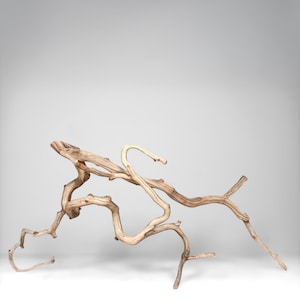 22&quot; Manzanita Driftwood Branch: Reptile Habitat, Aquascaping, Fish Tank Decor