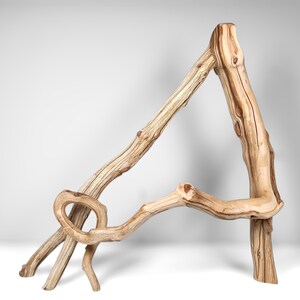 May include: A unique, handcrafted wooden chair made from natural branches. The chair features a triangular back and a curved seat, showcasing the natural grain and knots of the wood. The chair's design is organic and rustic, perfect for a nature-inspired interior.
