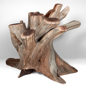 Massive 26&quot; Long Manzanita Driftwood Stump for Reptile Enrichment, Aquascaping, Aquarium Driftwood, Fish Tank Décor, Home Décor