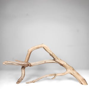 May include: A piece of driftwood with a natural, weathered appearance. The wood is light brown with a curved, abstract shape, featuring multiple branches and a textured surface. Ideal for home decor or craft projects.