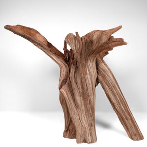 Manzanita Driftwood Stump (19.5&quot;): Reptile Enrichment, Aquascaping