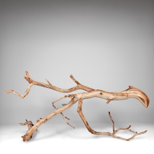 23.5&quot; Manzanita Driftwood Branch: Reptile Enrichment, Aquascaping
