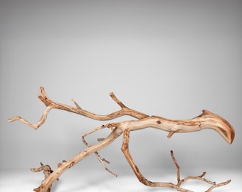 23.5" Manzanita Driftwood Branch: Reptile Enrichment, Aquascaping