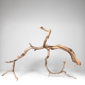 19.5&quot; Manzanita Driftwood Branch: Reptile Habitat, Aquarium Decor