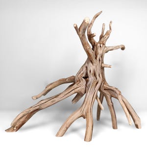 May include: A large piece of light brown driftwood featuring a complex, gnarled structure with multiple branching limbs and exposed roots. The wood displays a weathered, smooth texture with natural grooves and light tan coloration throughout.