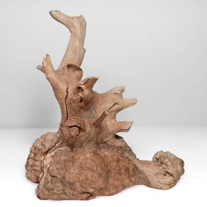 10.25&quot; Manzanita Driftwood &quot;Tree&quot;: Perfect for Aquascaping, Aquarium Driftwood, Reptile Enclosures, Vivariums & More!
