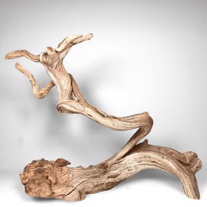 22&quot; Manzanita Driftwood Branch: Reptile Habitat, Aquarium Decor