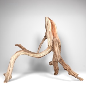18.5&quot; Manzanita Driftwood Branch: Reptile Habitat, Aquascaping Decor