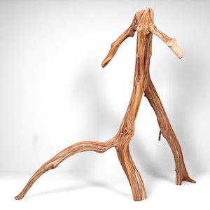 May include: A natural wood sculpture with a light brown color. The sculpture has a unique, abstract design with multiple branches extending in different directions. The wood grain is visible, adding texture and detail to the piece.