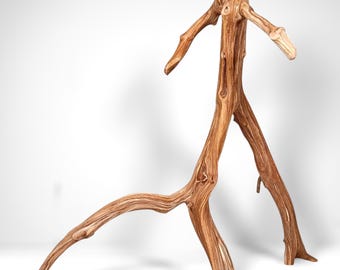 21" Manzanita Driftwood for Aquascaping, Aquarium Driftwood, Bonsai, Terrariums, Home Decor
