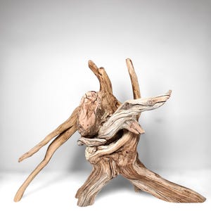 May include: A piece of natural driftwood featuring a complex, weathered structure with multiple gnarled branches, a textured light brown surface, and organic, irregular shapes that extend outward from a central, solid wooden base.