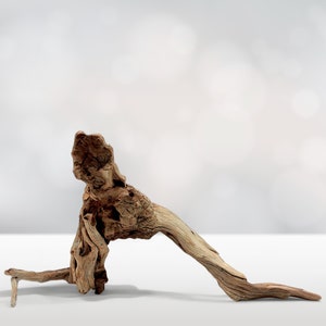 22&quot; Arched Manzanita Driftwood Branch: Aquarium, Reptile & Terrarium Decor