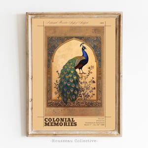 Stampa artistica di pavone, poster vintage indiano di pavone, arte murale in stile coloniale, illustrazione di uccelli esotici, disegno botanico, decorazione di pavone, stile boho