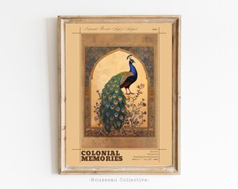 Vintage Peacock Art Print: Colonial Botanical Illustration
