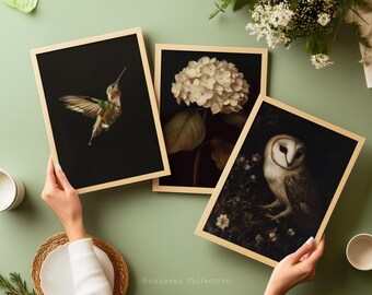 Nocturna Bundle - Owl, Hydrangea, Hummingbird (Set of 3)