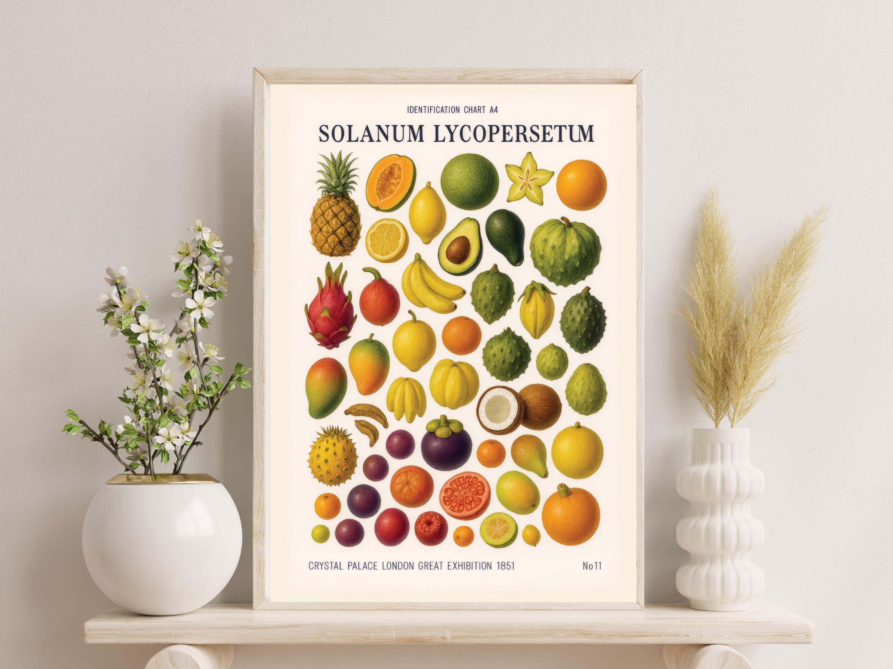 Vintage Tropical Fruit Chart Print: Colorful Botanical Kitchen Art