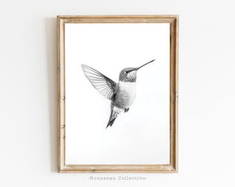 May include: A black and white pencil drawing of a hummingbird in flight. The hummingbird is depicted with its wings spread and its beak pointed forward. The drawing is framed in a light wood frame.