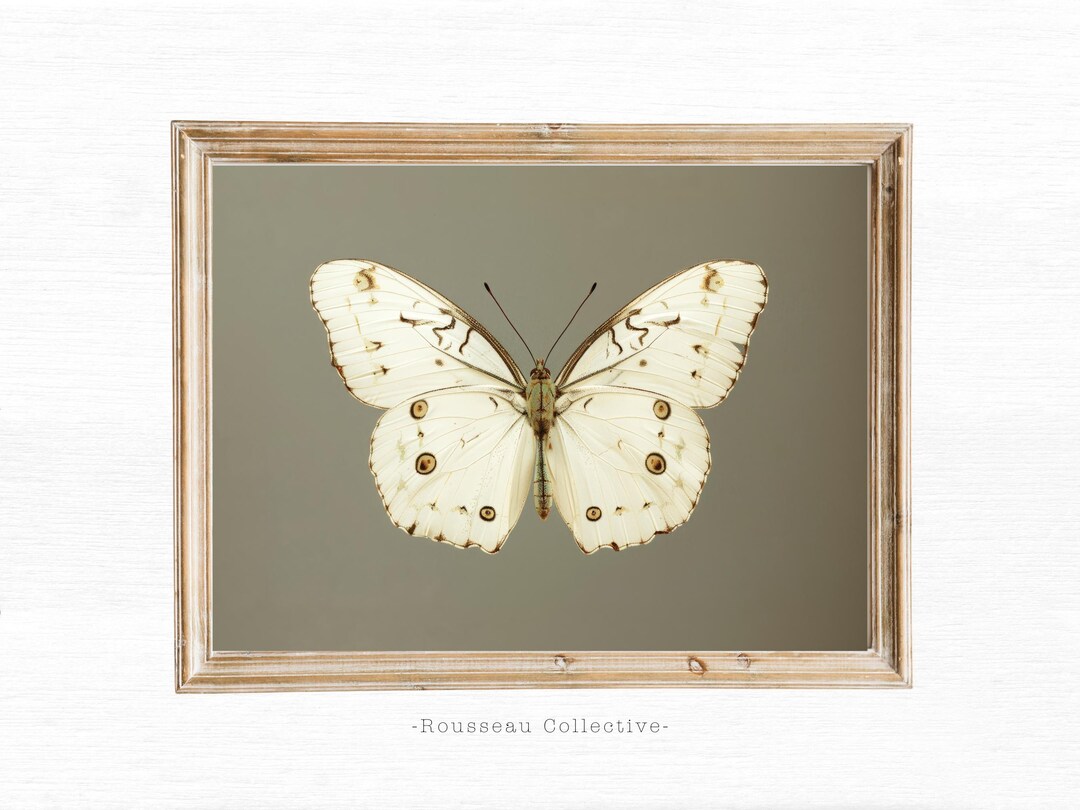 Vintage Butterfly Art Print: Minimal Neutral Cottagecore Wall Art - Etsy