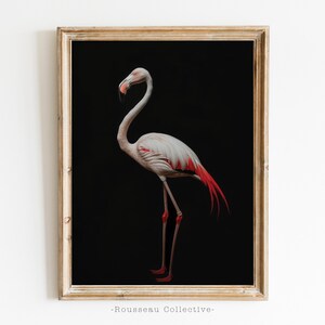 antik Flamingo Foto Kunstdruck, Bauernhaus Küsten Haus Dekor, Flamingo Poster, Audubon Flamingo, Vögel Wandkunst, Vintage Flamingo Vogel