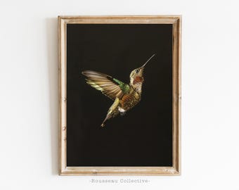 Hummingbird Art Print | Vintage Botanical Bird Art | Dark Moody Nature Decor | Black Wall Art Poster | Bird Lover Gift