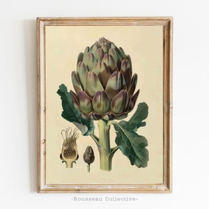 Stampa artistica di schizzo botanico, stampa di Ernst Haeckel, carciofo botanico vintage, stampa scientifica di piante vegetali, arredamento da cucina, carciofo