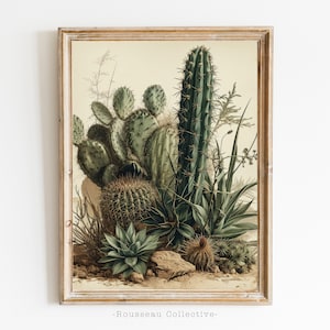 Vintage Kaktus Kunstdruck, Botanisches Poster, Warmes Neutrales Dekor, Sukkulenten Wandkunst, Vintage Skizze, Antiker Kaktus Druck, Bauernhaus Dekor