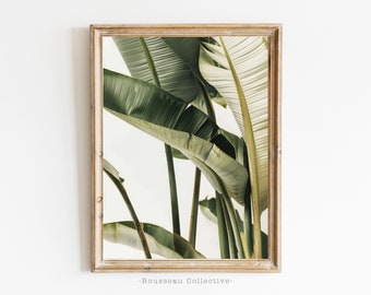Vintage Palm Leaf Print, Tropical Wall Art, Botanical Potoart Wall Decor