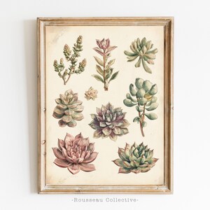 Vintage Sukkulenten Art Print – Wüsten Wanddekoration – Boho Pflanzen Illustration – Ernst Haeckel Kunst