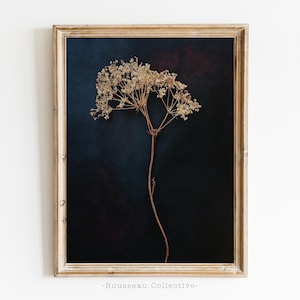 Minimalistischer Kunstdruck der getrockneten Blumen - Dunkle, stimmungsvolle Hintergrundwandkunst, elegantes Blumenplakat, ruhiges botanisches Dekor für moderne Innenräume