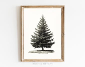 May include: A black and white illustration of a pine tree in a simple wooden frame. The image is on a white background. -Rousseau Collective-
