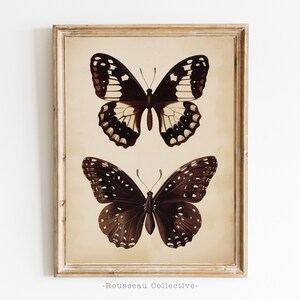Stampa artistica di farfalle vintage / Decorazione murale ispirata alla natura / Illustrazione botanica boho / Arte di insetti antica / Arte murale rustica in stile cottagecore