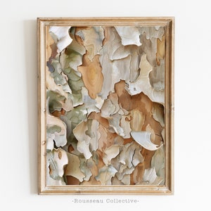 Foto di corteccia di eucalipto, stampa artistica rustica in stile fattoria, colori neutri caldi e tenui, arredamento boho, natura morta, arte botanica, eucalipto di neve