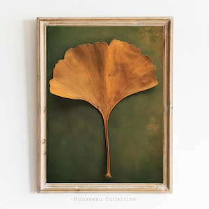 May include: A framed print of a pressed ginkgo leaf on a green background. The leaf is a light brown color and has a delicate, fan-shaped structure. The frame is a simple, light wood.