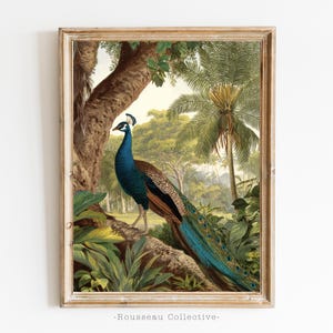 Stampa artistica vintage di pavone - Stampa murale di giungla tropicale, poster di animali in stile coloniale, illustrazione di uccelli esotici, decorazione di storia naturale