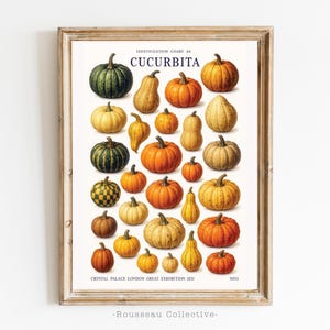 Carte d'identification citrouille et calebasse imprimée - oeuvre d'art murale vintage botanique récolte d'automne - Ernst Haeckel Millot - Poster Légumes Fruits