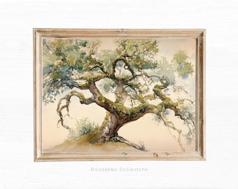 May include: A watercolor painting of a large, gnarled oak tree with green leaves and a light brown trunk. The tree is framed in a light wood frame.