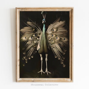 Vintage Peacock Art Print, Dark Academia Farmhouse Wall Decor
