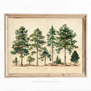 Vintage Wald Zeichnung Kunstdruck, Natur Wandkunst, Bauernhaus Wanddekor, Botanische Skizze, Larousse Wald Poster, Baum Wald Dekor