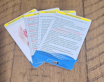 Mental Status Exam MSE / IMs/ AWOL/ ECT/  Psychiatric /Mental Health Nursing Reference Card / Badge Card