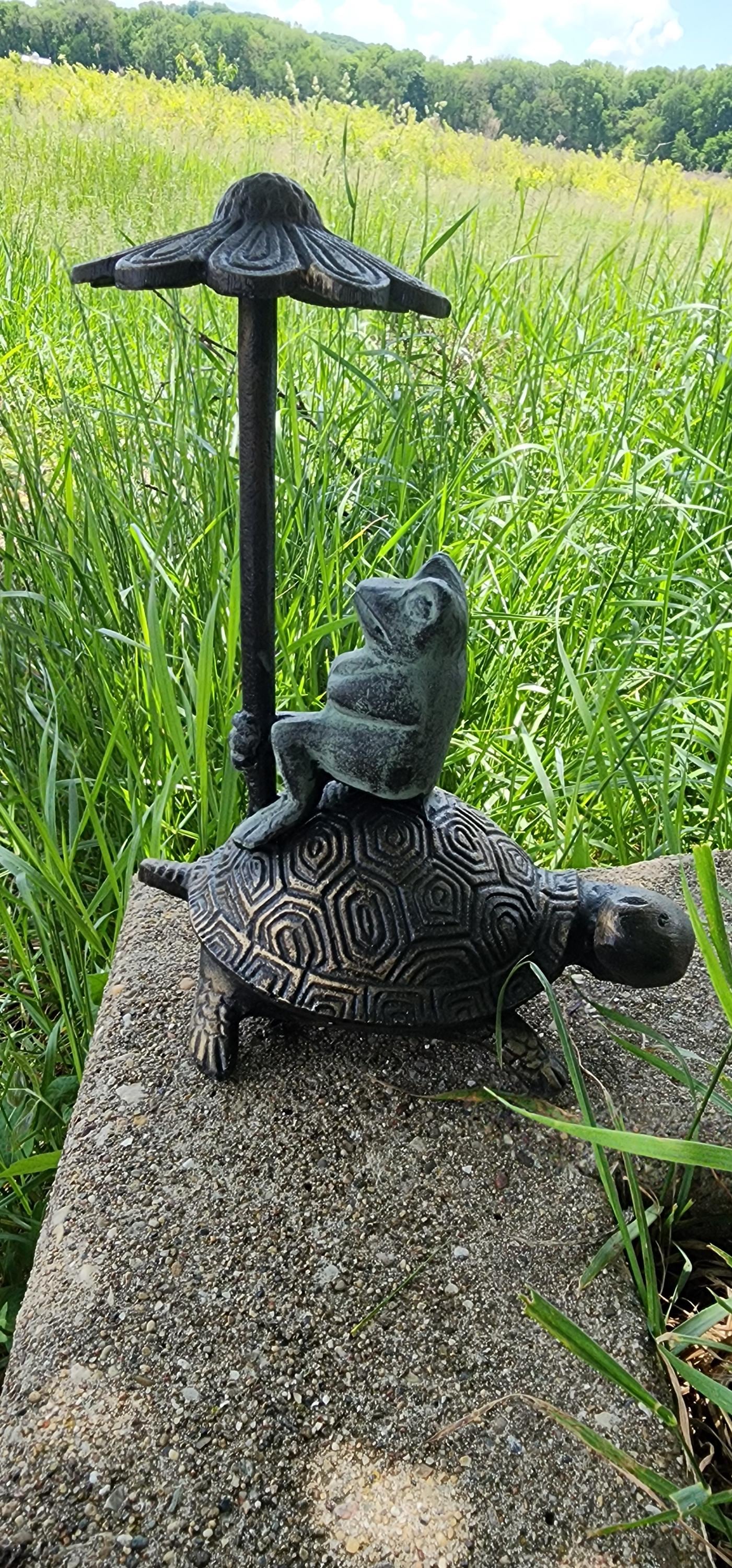 Frogs riding the turtle Garden Statue - Whimsical Metal Decor for Fall, Spring Perfect Gift for Patio or Yard